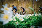 Mitsubishi MTB Challenge - Nyheter - ctl00_cph1_NL2_pg1491_Image1