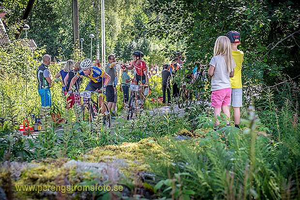 150809_finnmarksturen_stalld-3.jpg