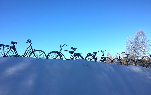 nyhetsbrev_vinter.jpg
