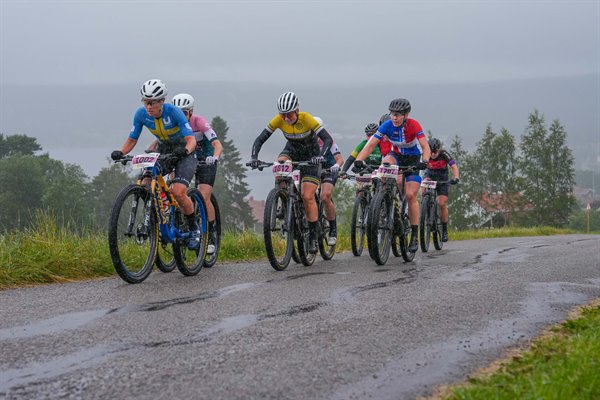 Morksuggejakten_cykelkanalen_093856.jpg
