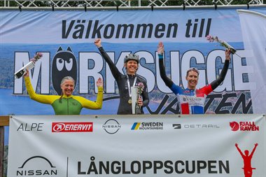 Morksuggejakten_cykelkanalen_dam_50.jpg