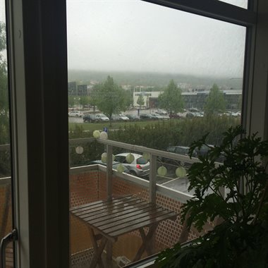 2_ett_regnigt_skovde.JPG