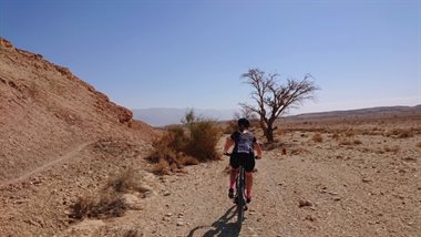 IMG_2562.JPG
