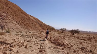 IMG_2563.JPG