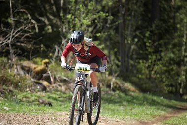 IMG_4674.JPG
