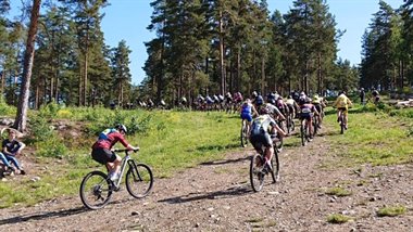 IMG_5168.JPG