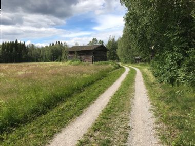 IMG_6788.jpg