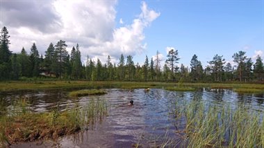 IMG_7950.JPG