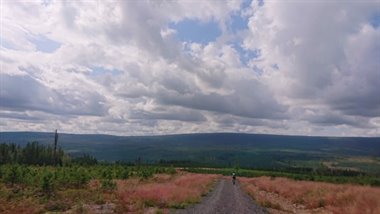 IMG_7954.JPG