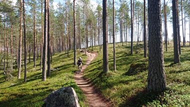 IMG_8042.JPG