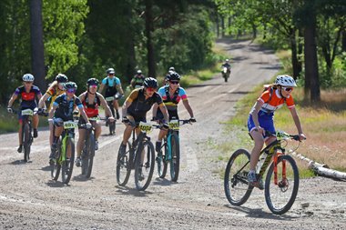 IMG_5921.JPG
