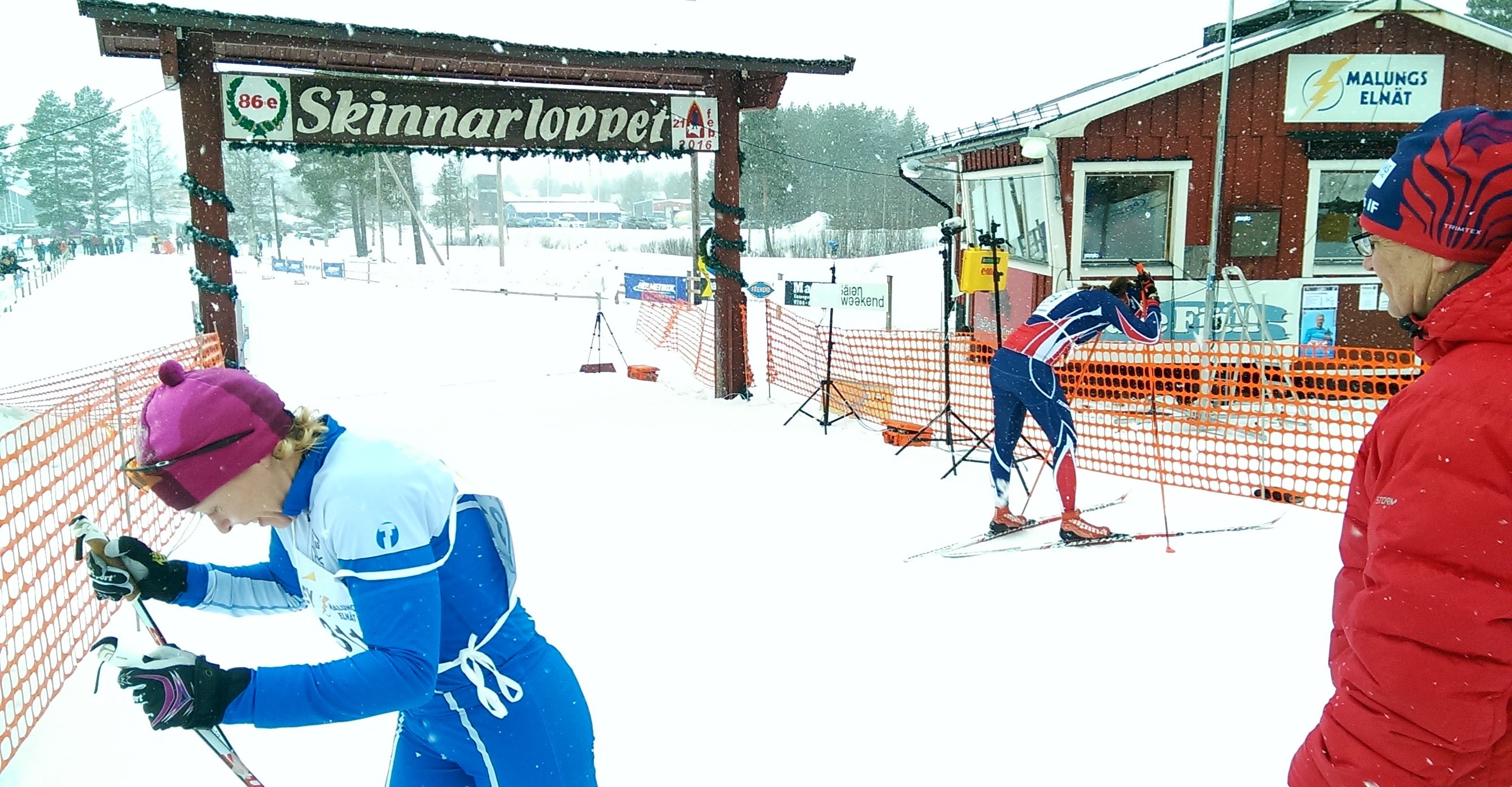 skinn16_11.jpg