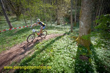 150509_billingeracet-00861.jpg