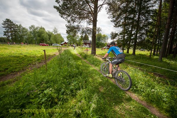 150705_morksuggejakten-12.jpg