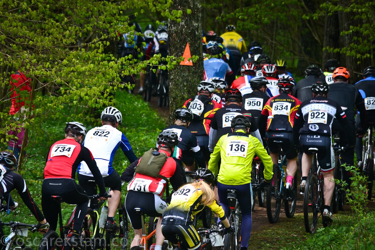 Billingeracet2014oscarekstam-1.jpg