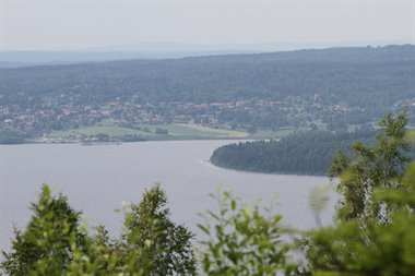 IMG_7896.JPG