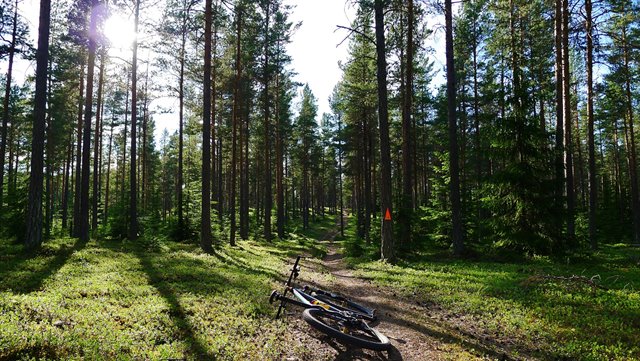 P1160459.png